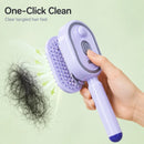 Mist Straightening - Cabelos com aparência de salão, fácil de usar